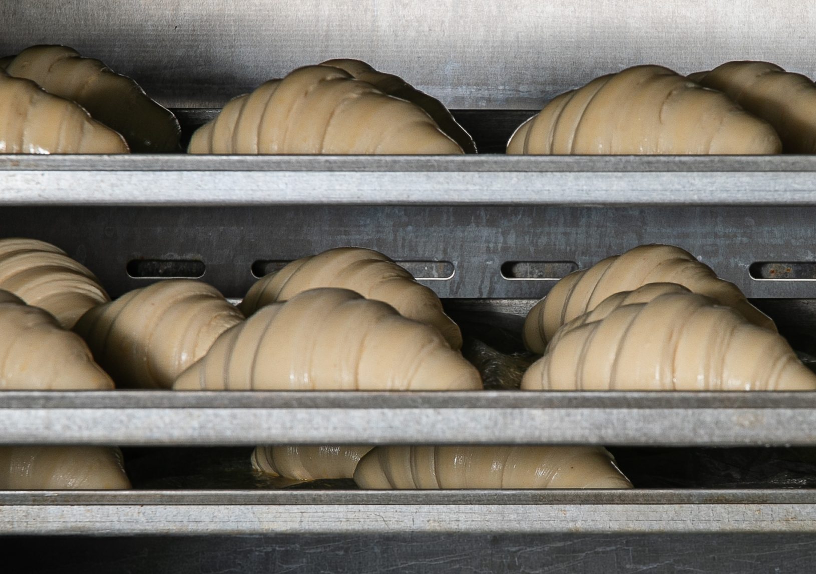 Croissanty kynou na plechách